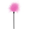 Sexy Feather Tickler