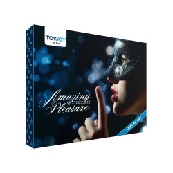 Amazing Pleasure Sex Toy Kit