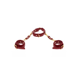 D-Ring Collar and Wrist Cuffs