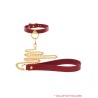 Chain Leash