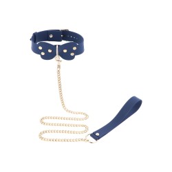 Silicone Collar and Leash