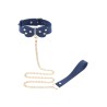 Silicone Collar and Leash