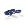 Silicone Collar and Leash