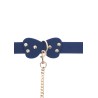 Silicone Collar and Leash