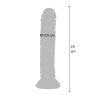 Clear Dong TPE 19 cm