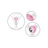 ToyJoy Urban VERVE - Pulsating Clitoral Stimulator