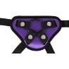Universal Harness + 3 Rings
