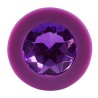 Colorful Joy Jewel Purple Plug