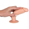 Anal Training Set Dildos