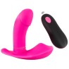 Sweet Smile RC Panty Vibrator