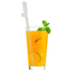 Glass Drinking Straw Willy x 4
