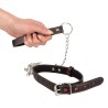 Collar and Leash