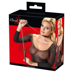 Collar and Leash
