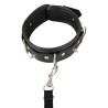 Collar vegan