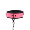 Taboom Glow In the Dark Collar and Chain Leash
