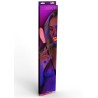 Taboom Glow In the Dark Riding Crop