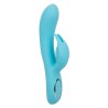 CalExotics Azure Bunny G