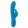 CalExotics Azure Flutter G