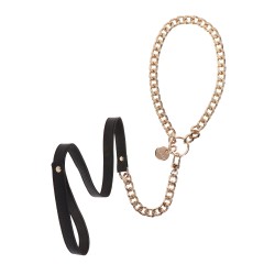Statement Leash