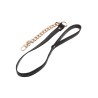 Statement Leash