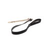 Statement Collar and leash