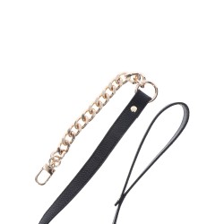 Statement Collar and leash