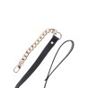 Statement Collar and leash