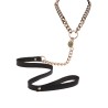 Statement Collar and leash