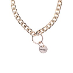 Statement Collar and leash