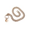 Statement Collar and leash