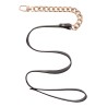Statement Collar and leash