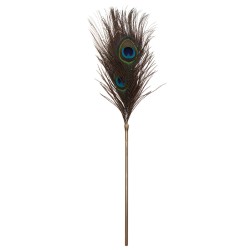 Peacock Tickler
