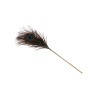 Peacock Tickler