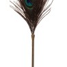 Peacock Tickler