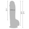 Realistic Dildo PVC 25 cm