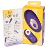 Sweet Smile RC Panty Vibrator