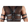 Men's Shirt S