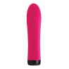 S PLEASURES BULLET - STAR RUBY