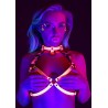 Open Cup Bra Harness