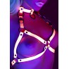 Open Cup Bra Harness