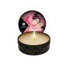 Shunga mini massage candle aphrodisia roses petals