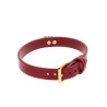 O-Ring Collar