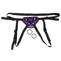 Universal Harness + 3 Rings