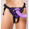 Universal Harness + 3 Rings