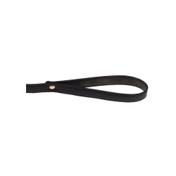 Statement Collar and leash