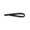 Statement Collar and leash