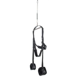 FFS Spinning Fantasy Swing