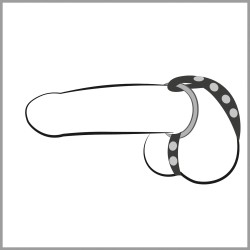 Leather Strap