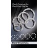 Bad Kitty Set of 5 Metal Rings