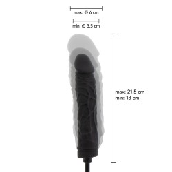 Inflatable Dong Advanced